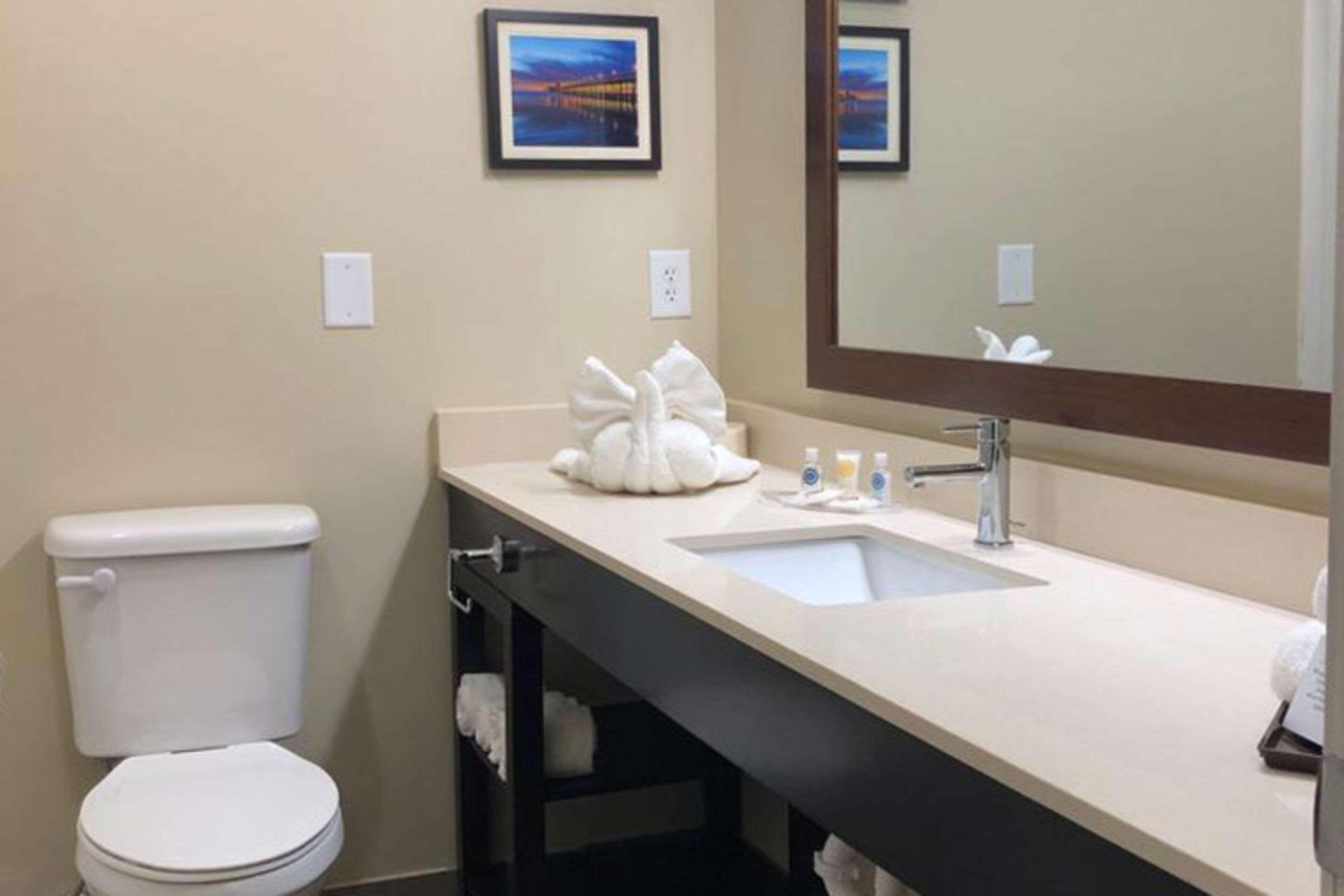 Comfort Suites Near Camp Lejeune Jacksonville Eksteriør bilde