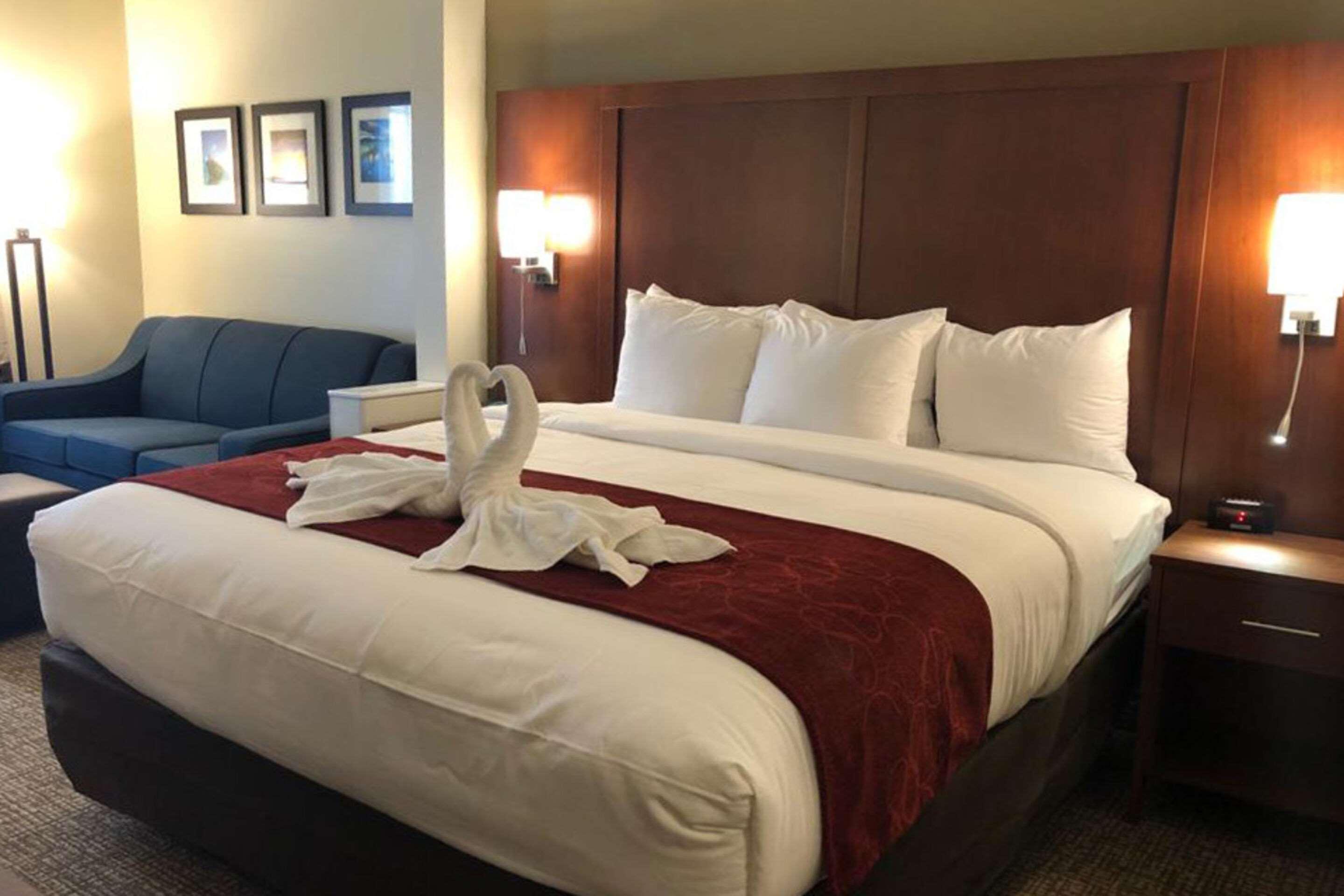 Comfort Suites Near Camp Lejeune Jacksonville Eksteriør bilde