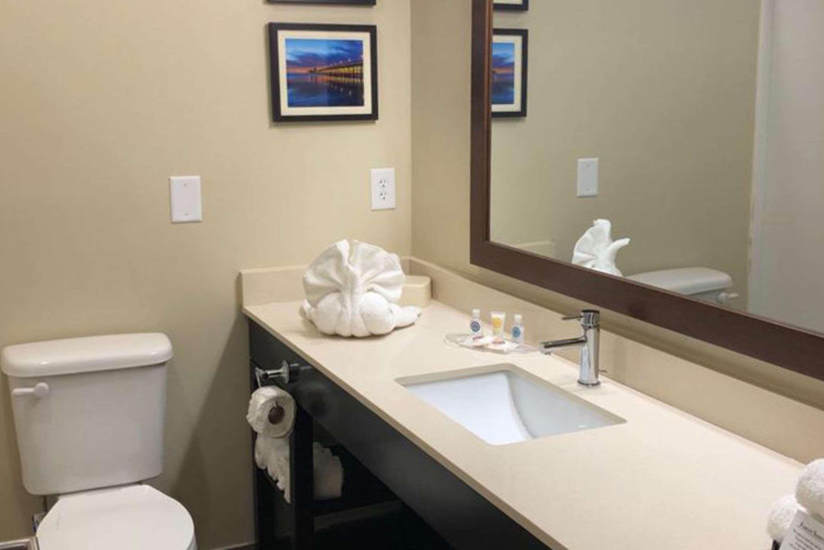 Comfort Suites Near Camp Lejeune Jacksonville Eksteriør bilde